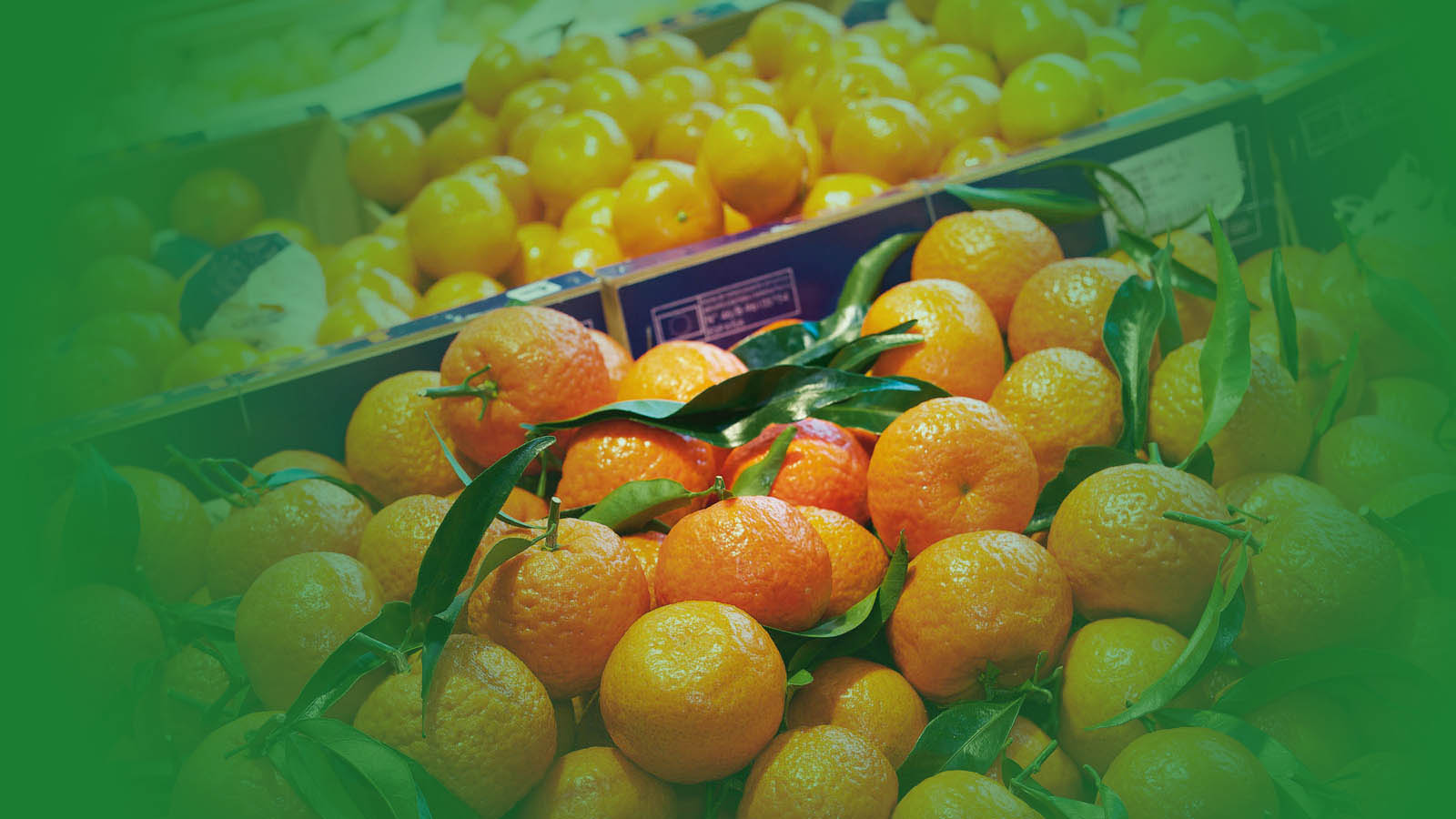 Fruits et légumes Alès